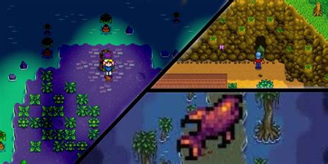 Stardew Valley: How To Catch Void Salmon .